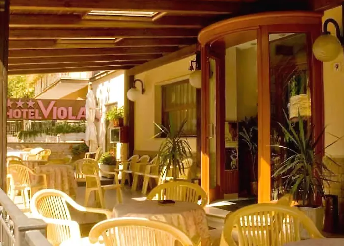 Hotel Viola